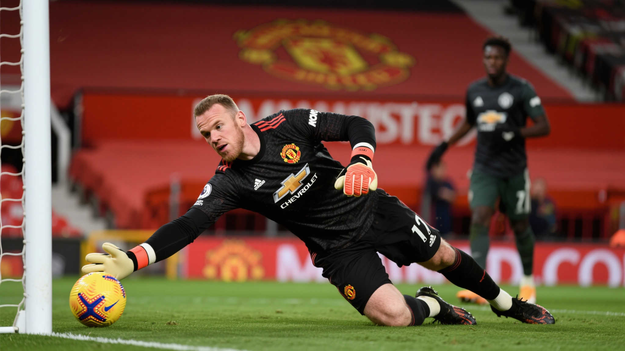 往会仔细甄 往会仔细甄