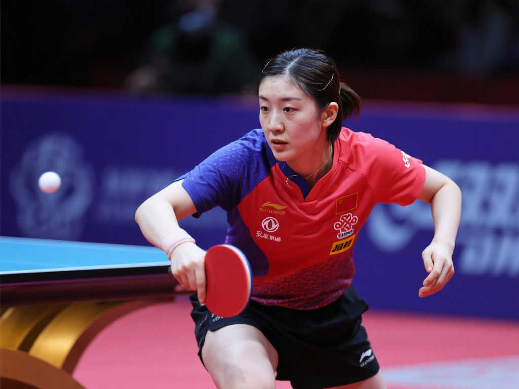 他毅然决然 他毅然决然